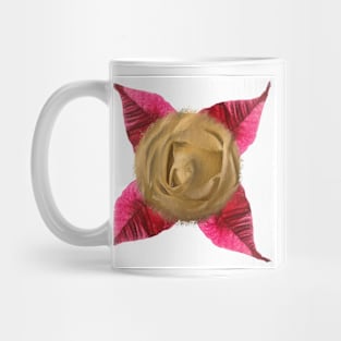 Rose and Poinsettia drawing Mug